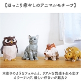 Suora 北欧風マネーバンク | BACKYARD FAMILY | 詳細画像3 