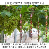 鳥よけ シャインスパイラル 8本セット | BACKYARD FAMILY | 詳細画像7