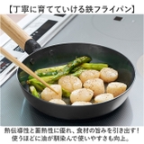 like-it オーブンでも使える鉄フライパン20cm 浅 | BACKYARD FAMILY | 詳細画像3 