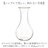 PVベース H24 | BACKYARD FAMILY | 詳細画像2 