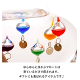 ガラスフロート温度計 | BACKYARD FAMILY | 詳細画像7 