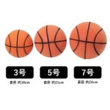 ボール 室内 バスケットボール | BACKYARD FAMILY | 詳細画像9 