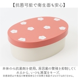 わっぱ風ランチボックス | BACKYARD FAMILY | 詳細画像9