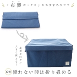 ストレリアナチュレ ボックス LL | BACKYARD FAMILY | 詳細画像8 