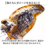 鳥よけ ガラス対策 防鳥 | BACKYARD FAMILY | 詳細画像12 
