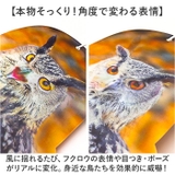 鳥よけ ガラス対策 防鳥 | BACKYARD FAMILY | 詳細画像5 