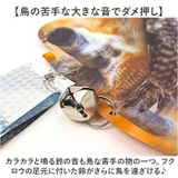 鳥よけ ガラス対策 防鳥 | BACKYARD FAMILY | 詳細画像7 
