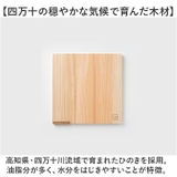 STYLE JAPAN 小さな立つまな板 ましかく | BACKYARD FAMILY | 詳細画像3 
