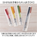 FIT 箸 | BACKYARD FAMILY | 詳細画像3