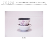 COFILfuji 四季 | BACKYARD FAMILY | 詳細画像12 