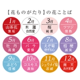 花ものがたり 12ヶ月湯呑 | BACKYARD FAMILY | 詳細画像7 