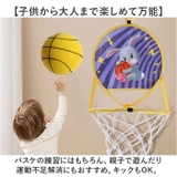 サイレントボール 静音ボール  | BACKYARD FAMILY | 詳細画像6 