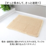 SDS バスマット トータス2 45x60cm | BACKYARD FAMILY | 詳細画像3