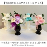 ドゥース・メモワール | BACKYARD FAMILY | 詳細画像2 