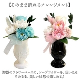 ドゥース・メモワール | BACKYARD FAMILY | 詳細画像3 