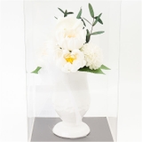 ドゥース・メモワール | BACKYARD FAMILY | 詳細画像8 