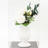 ドゥース・メモワール | BACKYARD FAMILY | 詳細画像9 