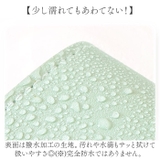 ピアス アクセサリー ケ 収納ケース 持ち運び | BACKYARD FAMILY | 詳細画像8 