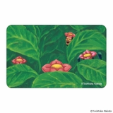 こびとづかん まじかる百貨店ステッカー(5) | BACKYARD FAMILY | 詳細画像2