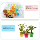 水でふくらむ ジェリーボール ぷよぷよボール 水耕 Sサイズ | BACKYARD FAMILY | 詳細画像3 
