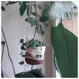 コットンポットカバー S | BACKYARD FAMILY | 詳細画像3 