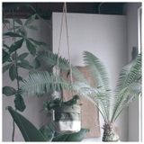 コットンポットカバー S | BACKYARD FAMILY | 詳細画像4 