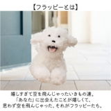 ウェルカム クッション | BACKYARD FAMILY | 詳細画像3 