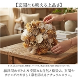 ジャパネスクリース S | BACKYARD FAMILY | 詳細画像5