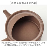 ロクサン tokoname 平型急須 | BACKYARD FAMILY | 詳細画像8 