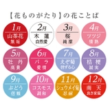 花ものがたり12ヶ月 天宝箸付飯碗湯呑セット | BACKYARD FAMILY | 詳細画像12 
