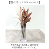 PV スリムオクタゴン | BACKYARD FAMILY | 詳細画像2 