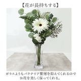 PV スリムオクタゴン | BACKYARD FAMILY | 詳細画像6 