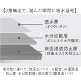 モフサンド 珪藻土入りソフトバスマット | BACKYARD FAMILY | 詳細画像3 