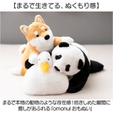 omonui おもぬい | BACKYARD FAMILY | 詳細画像2 