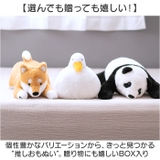 omonui おもぬい | BACKYARD FAMILY | 詳細画像6 