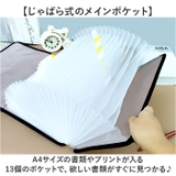 書類収納 書類ケース 大容量 | BACKYARD FAMILY | 詳細画像4