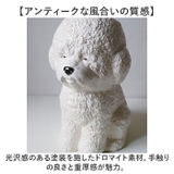 アニマルビッグボス | BACKYARD FAMILY | 詳細画像4 