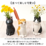 フラワー&ペンスタンド 仔猫 | BACKYARD FAMILY | 詳細画像5