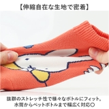 DB BOTOCO | BACKYARD FAMILY | 詳細画像4 