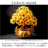 招財樹 風水 置物 | BACKYARD FAMILY | 詳細画像2