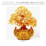 招財樹 風水 置物 | BACKYARD FAMILY | 詳細画像9