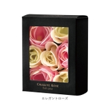 バスペタル | BACKYARD FAMILY | 詳細画像11 