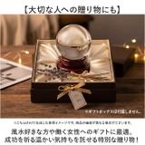 水晶丸玉 開運祈願 | BACKYARD FAMILY | 詳細画像6 