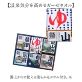 名湯百景 ギフト | BACKYARD FAMILY | 詳細画像6 