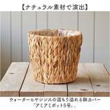 アミアミポット5号 | BACKYARD FAMILY | 詳細画像2