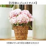 アミアミポット5号 | BACKYARD FAMILY | 詳細画像4
