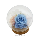 プリザーブドフラワー ガラスドーム | BACKYARD FAMILY | 詳細画像15 