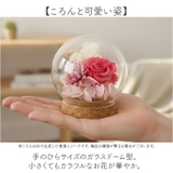 プリザーブドフラワー ガラスドーム | BACKYARD FAMILY | 詳細画像5 