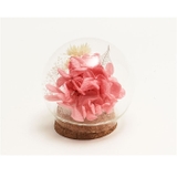 プリザーブドフラワー ガラスドーム | BACKYARD FAMILY | 詳細画像8 