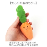 ミニファームシリーズ ぱりぱりにんじん畑 | BACKYARD FAMILY | 詳細画像6 